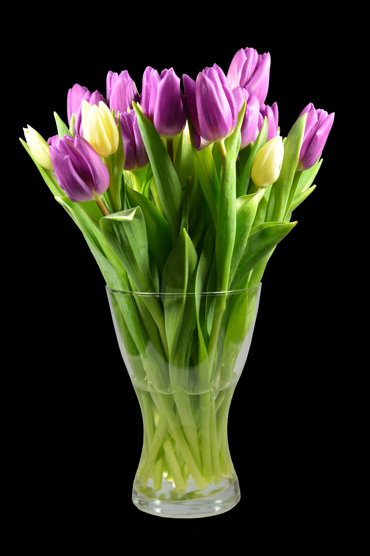 Vibrant_ Tulips_in_ Glass_ Vase PNG