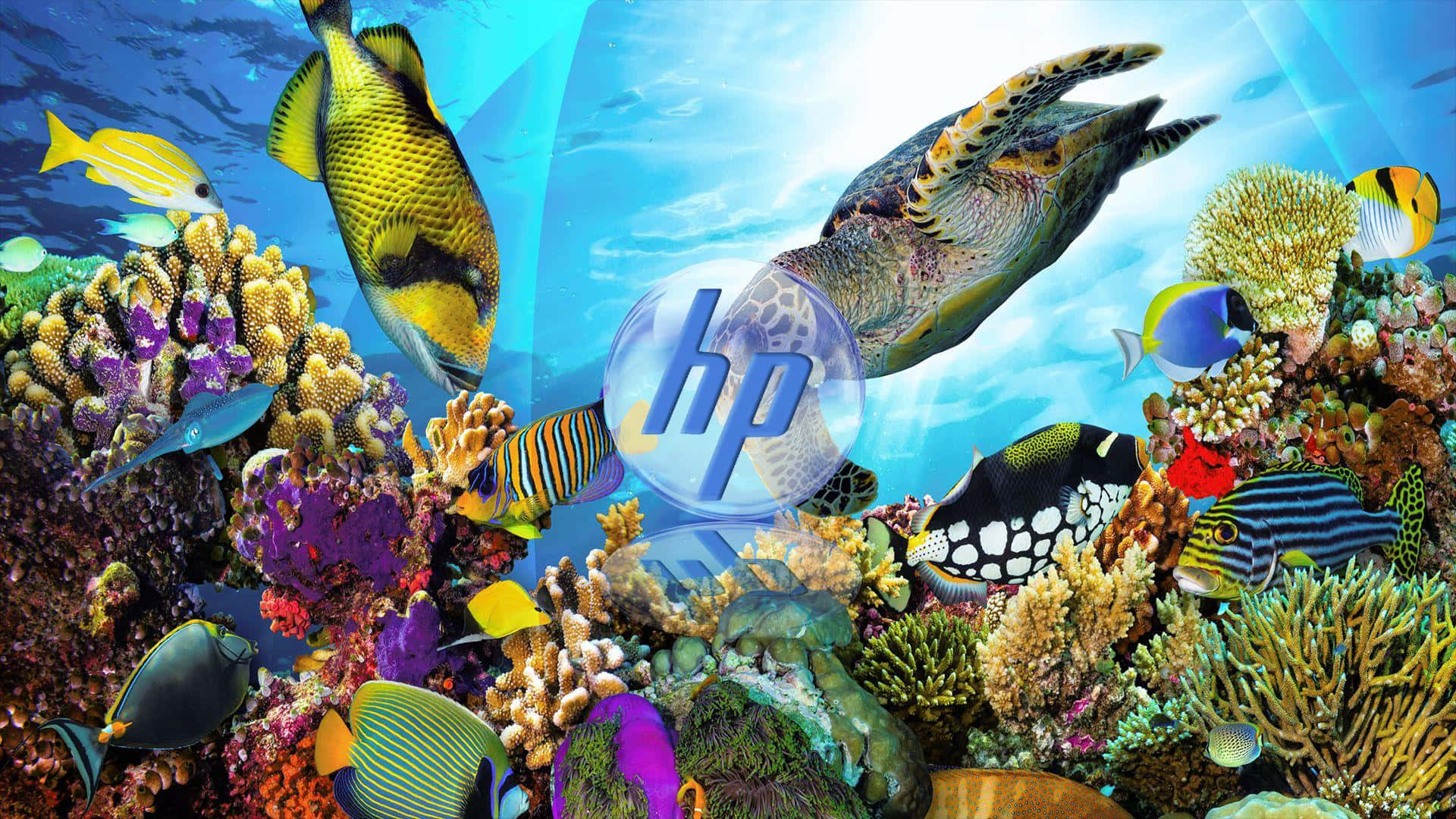 Vibrant Underwater Scenewith H P Logo Wallpaper