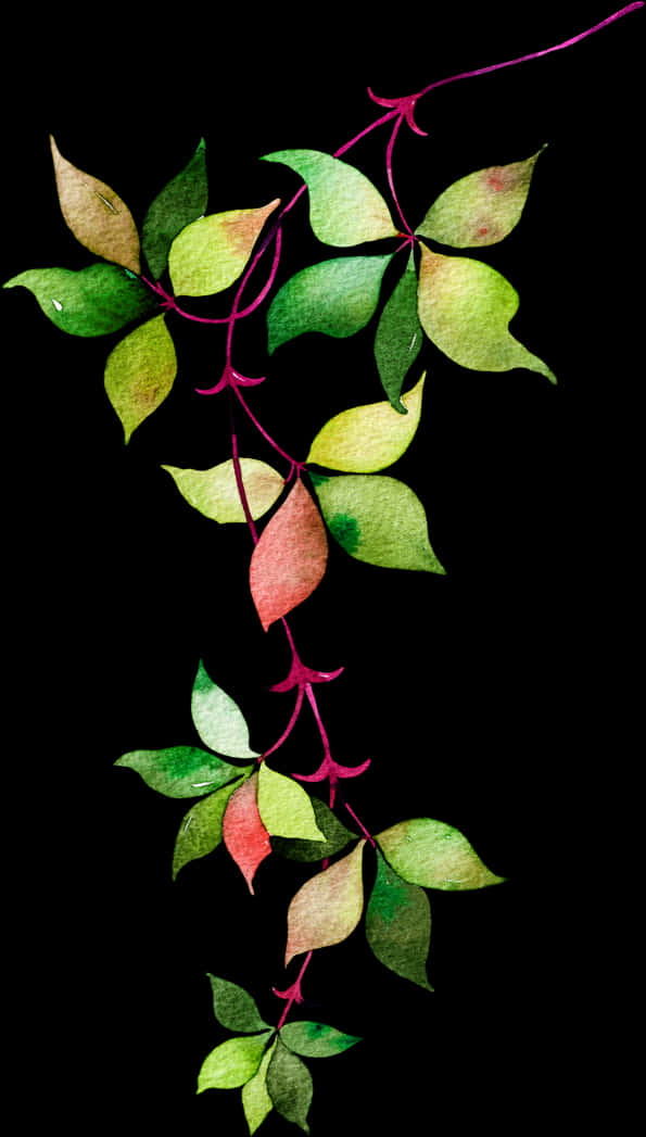 Vibrant Vine Leaves Against Black Background PNG