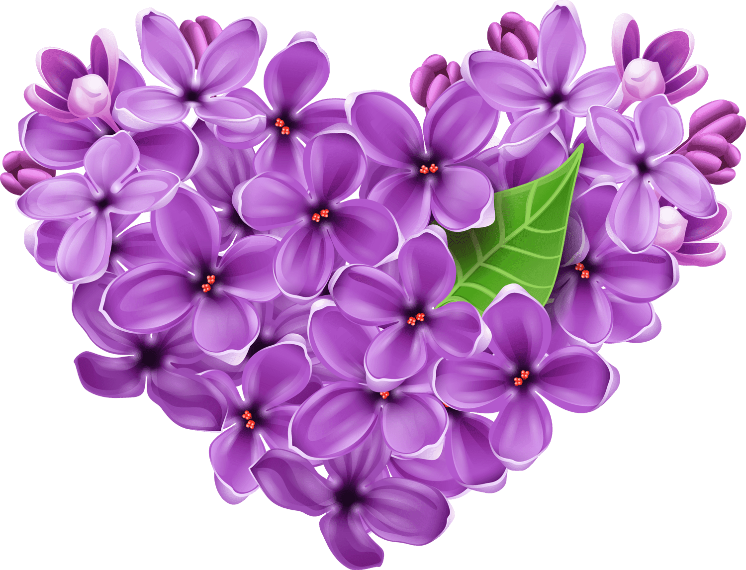 Vibrant Violet Lilac Flowers PNG