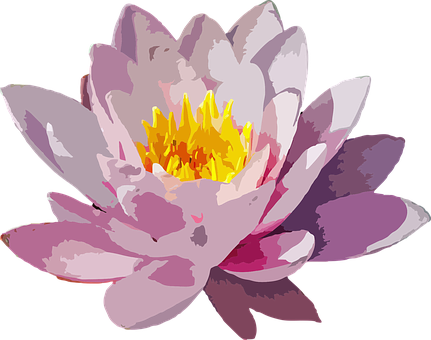 Vibrant_ Water_ Lily_ Illustration.png PNG