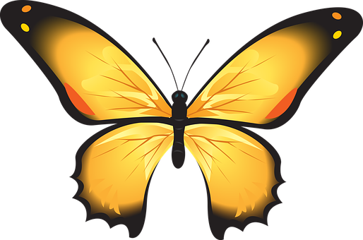 Vibrant Yellow Butterfly Illustration PNG