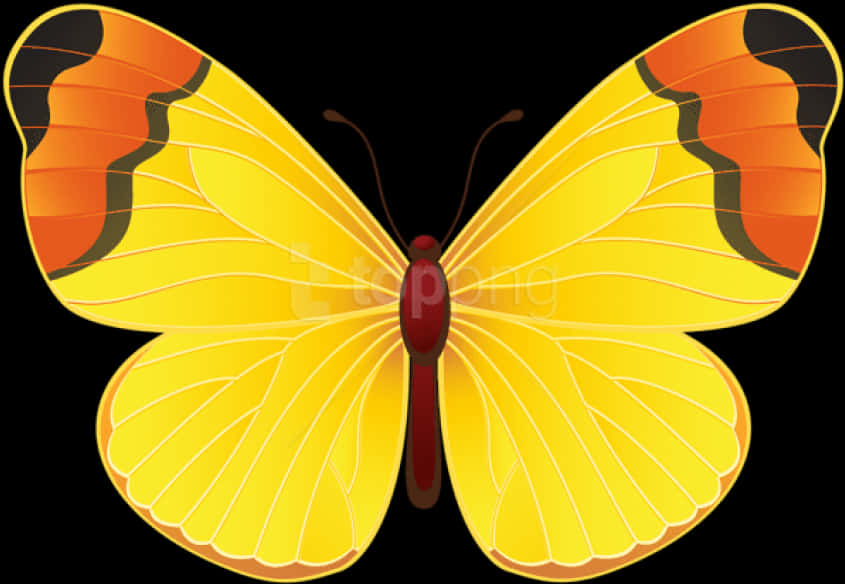 Vibrant Yellow Butterfly Illustration PNG