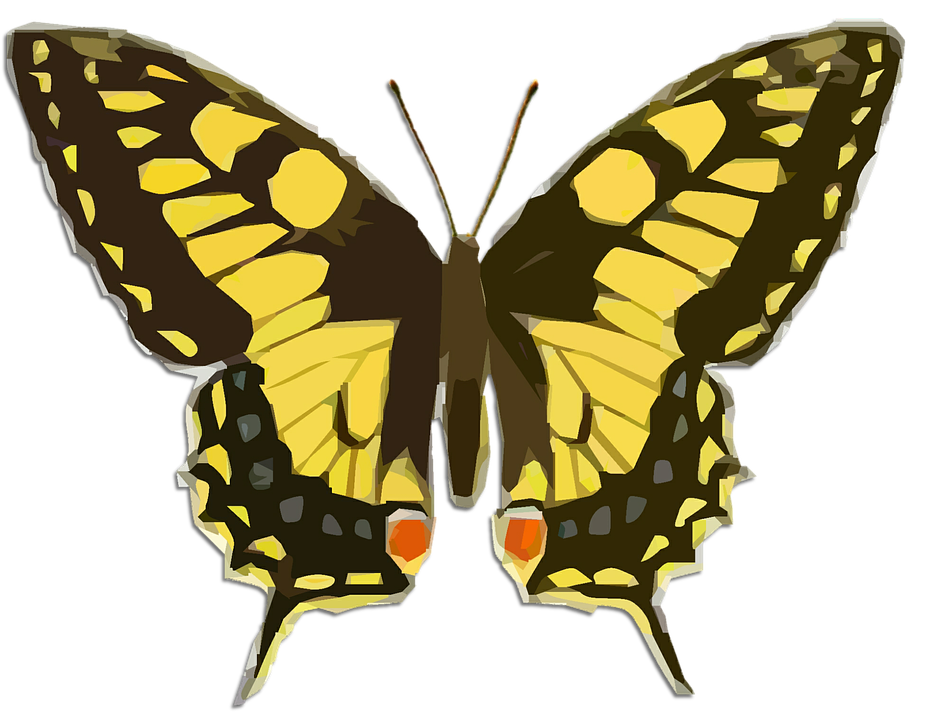 Vibrant Yellow Butterfly Illustration PNG