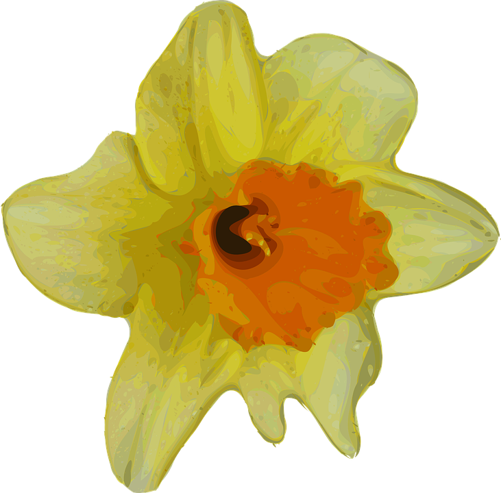 Vibrant Yellow Daffodil Illustration PNG