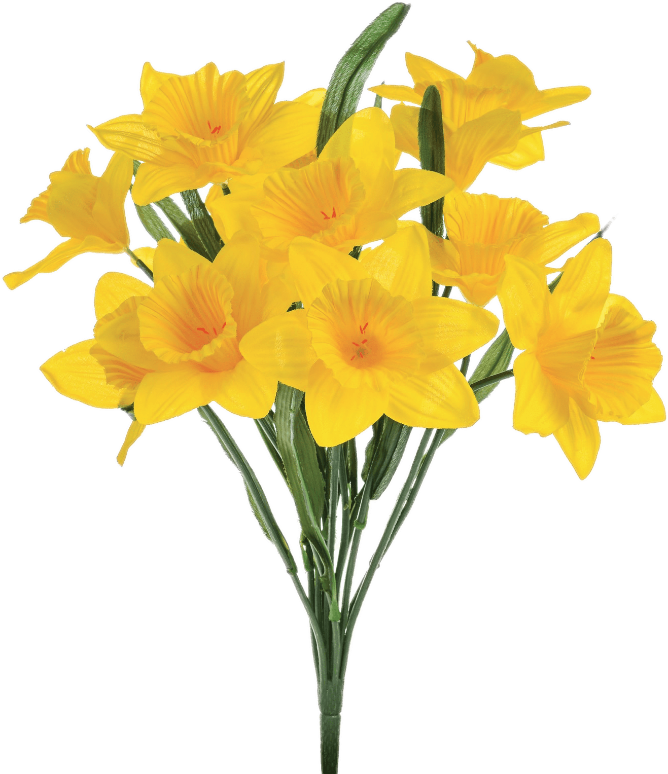 Vibrant Yellow Daffodils Bouquet PNG