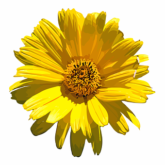 Vibrant Yellow Flower Illustration PNG