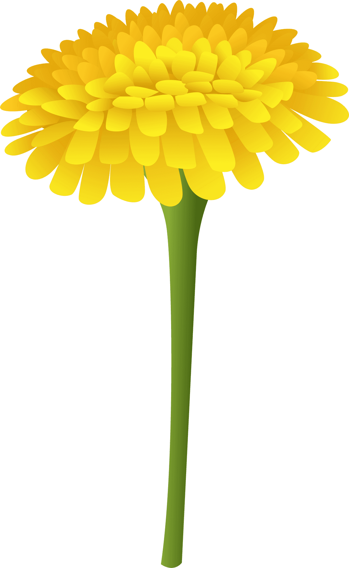 Vibrant Yellow Marigold Graphic PNG