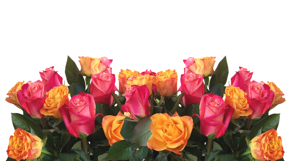 Vibrant Yellow Pink Roses Bouquet PNG