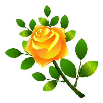 Vibrant Yellow Rose Vector Art PNG