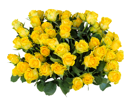 Vibrant Yellow Roses Bouquet PNG