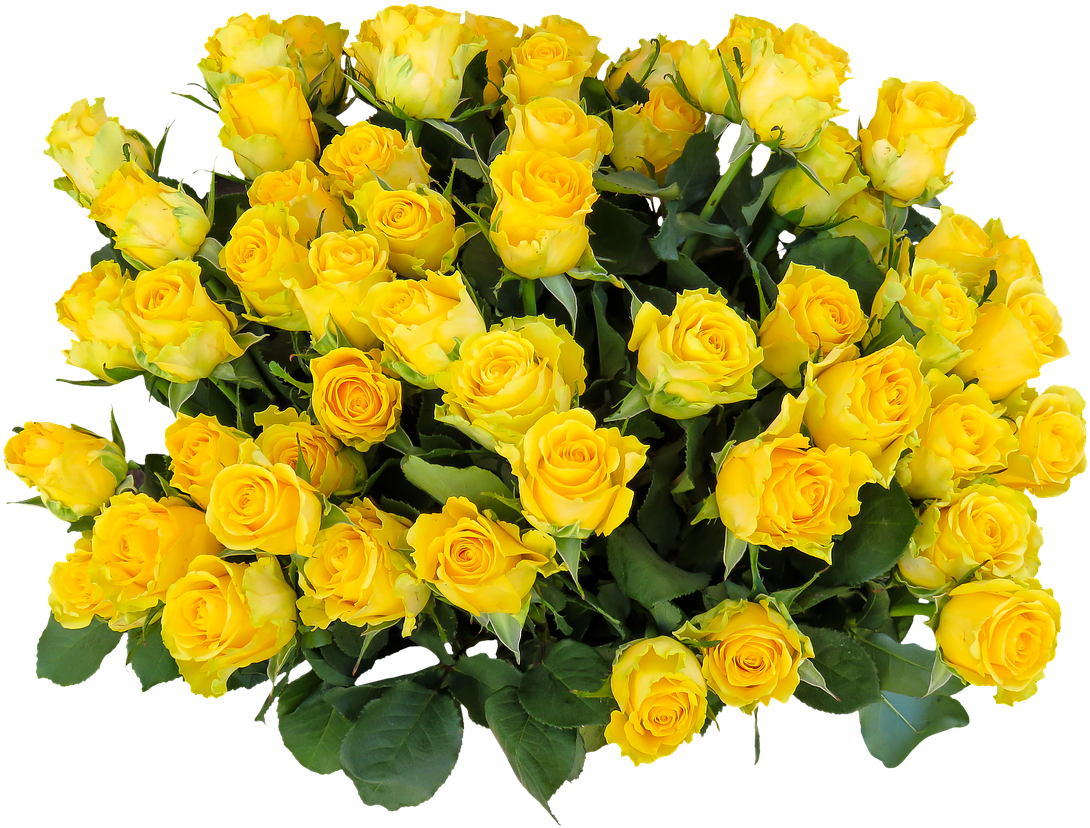 Vibrant Yellow Roses Bouquet PNG