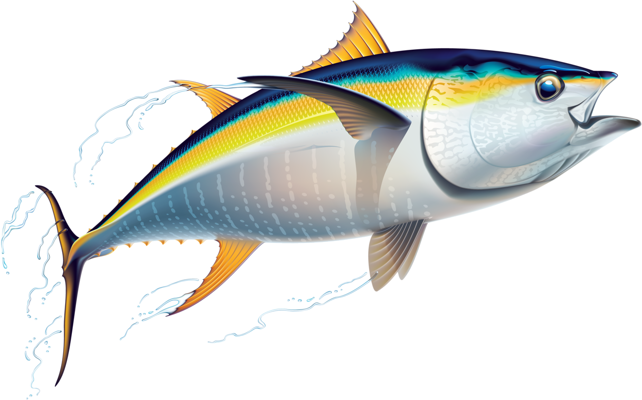 Vibrant Yellowfin Tuna Illustration PNG