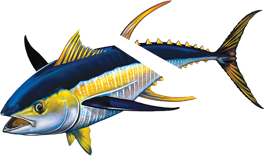 Vibrant Yellowfin Tuna Illustration PNG