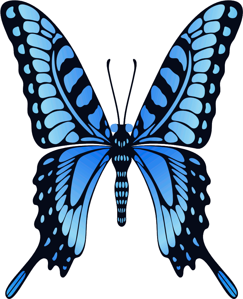 Vibrant_ Blue_ Butterfly_ Illustration.png PNG