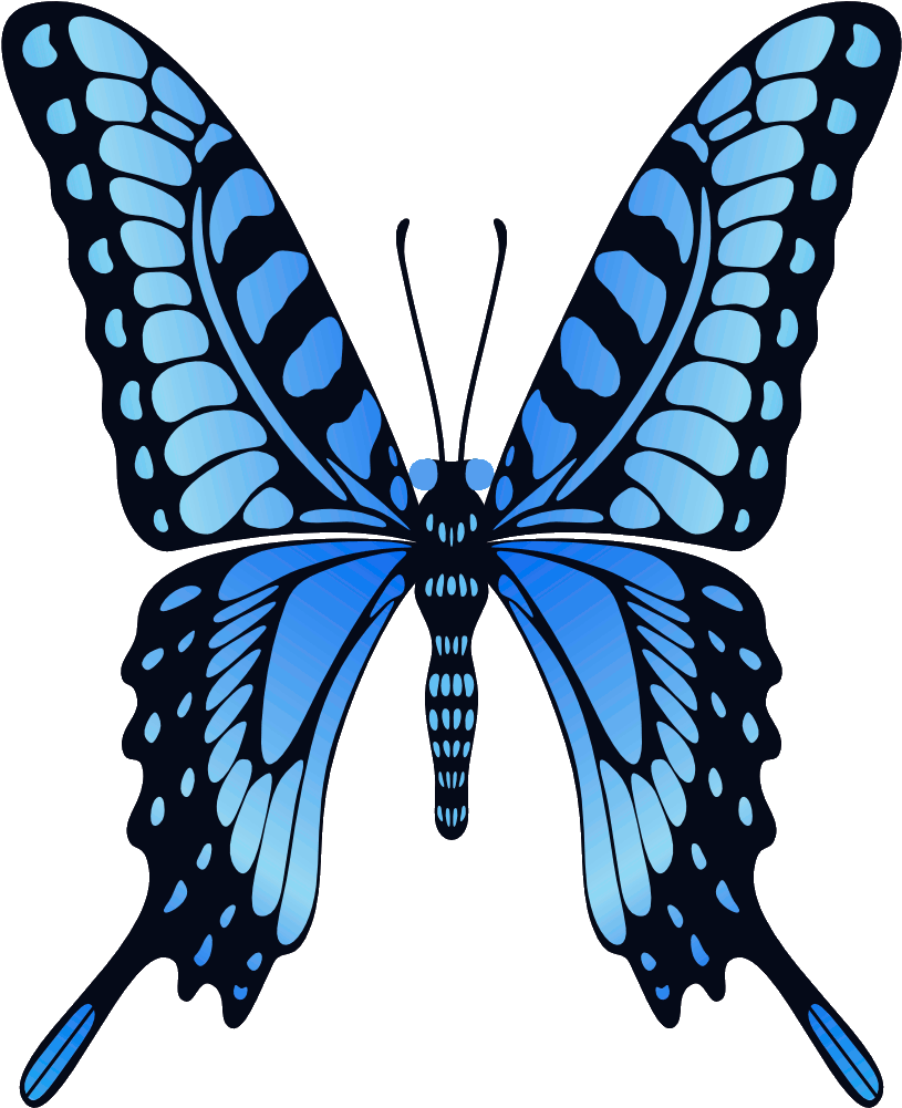 [100+] Butterfly Wings Png Images | Wallpapers.com