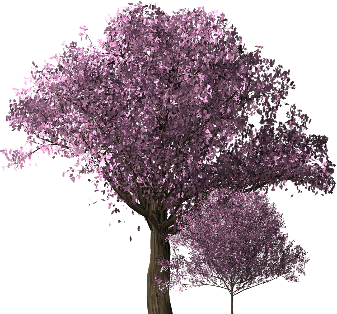 Vibrant_ Cherry_ Blossom_ Tree_ Render PNG