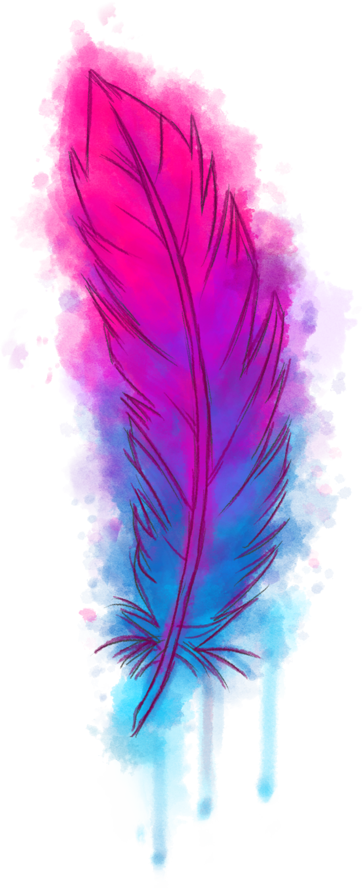 Vibrant_ Feather_ Artwork.png PNG