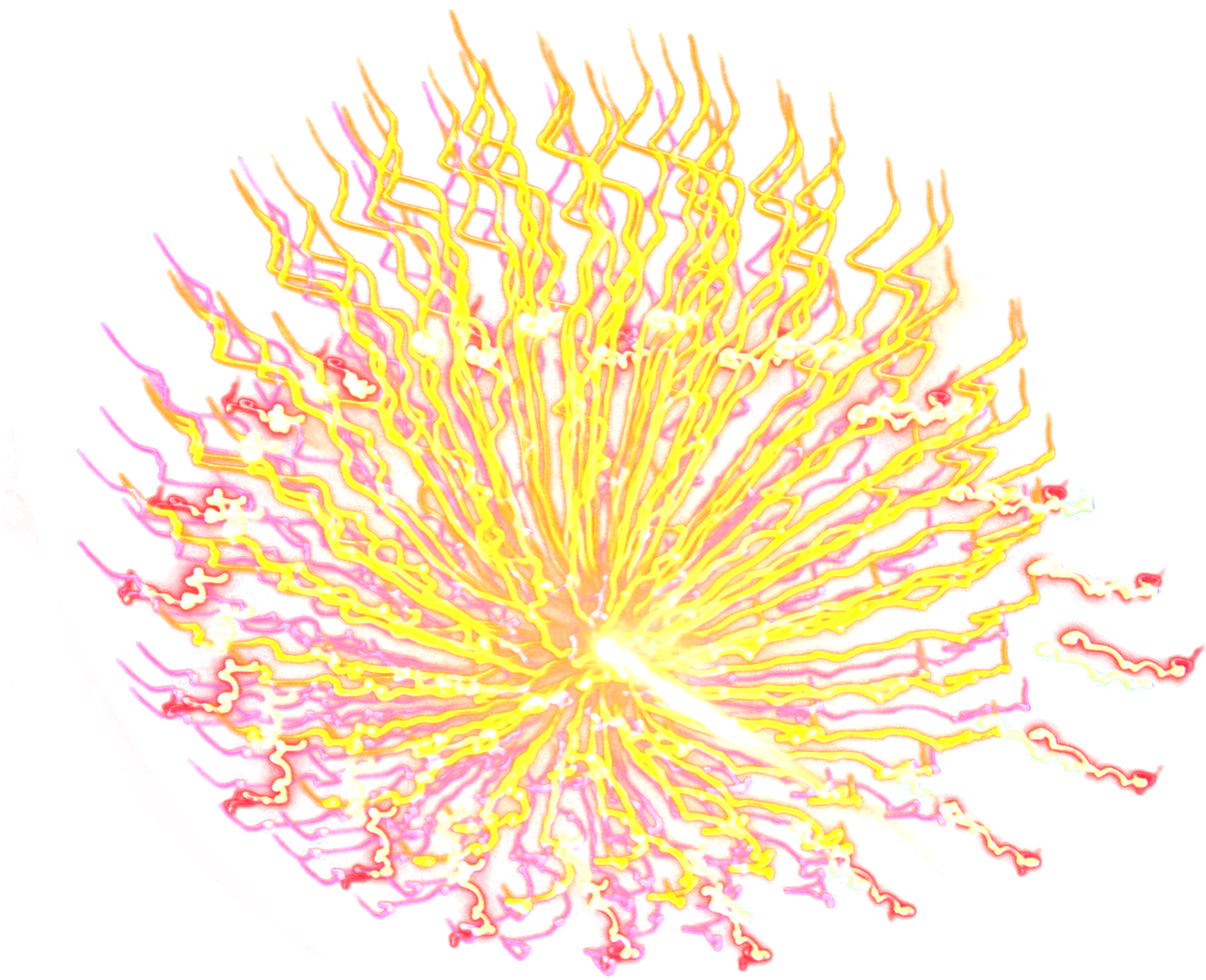 Vibrant Firework Explosion PNG