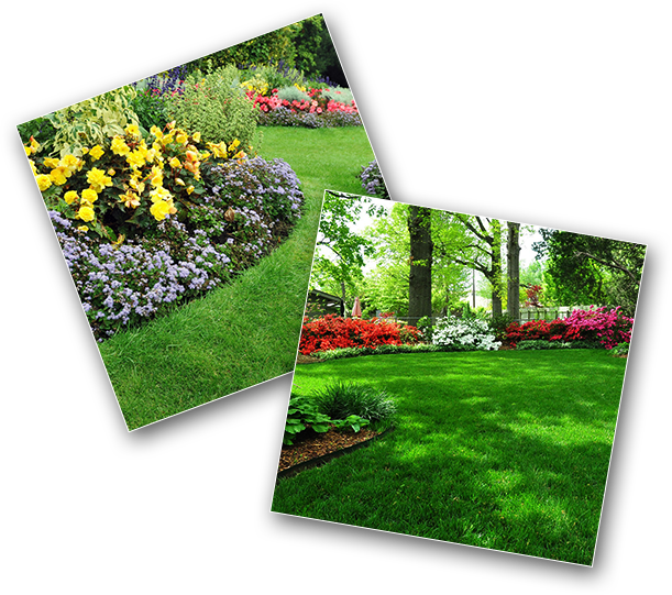 Vibrant_ Garden_ Collage PNG