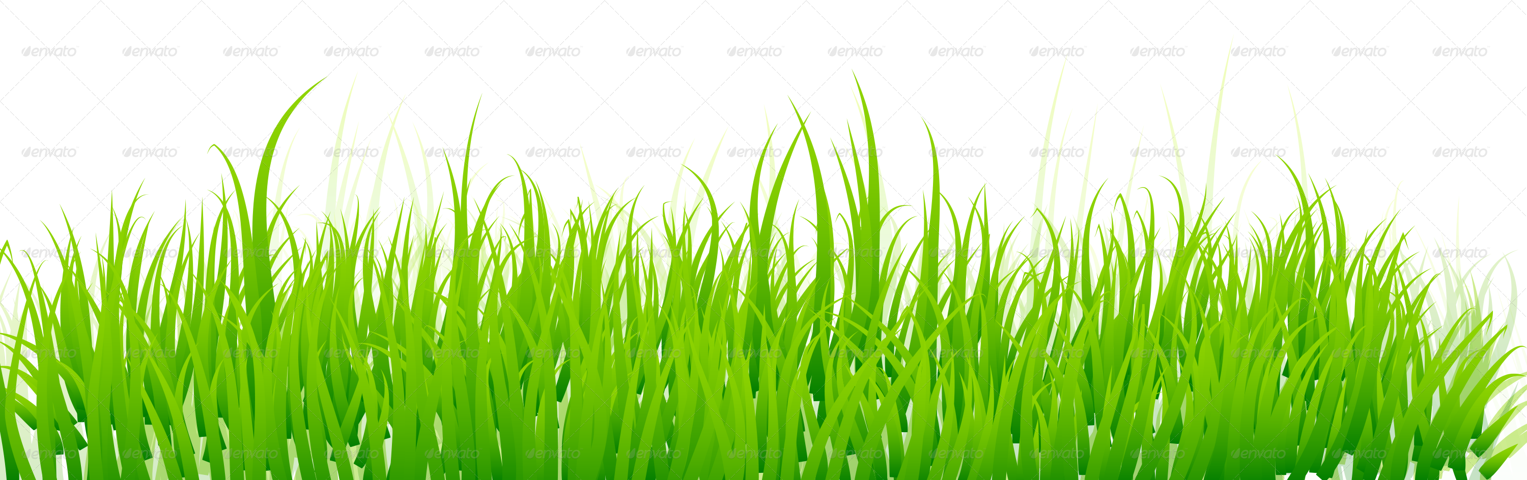 Vibrant_ Grass_with_ Flowers_ Background PNG