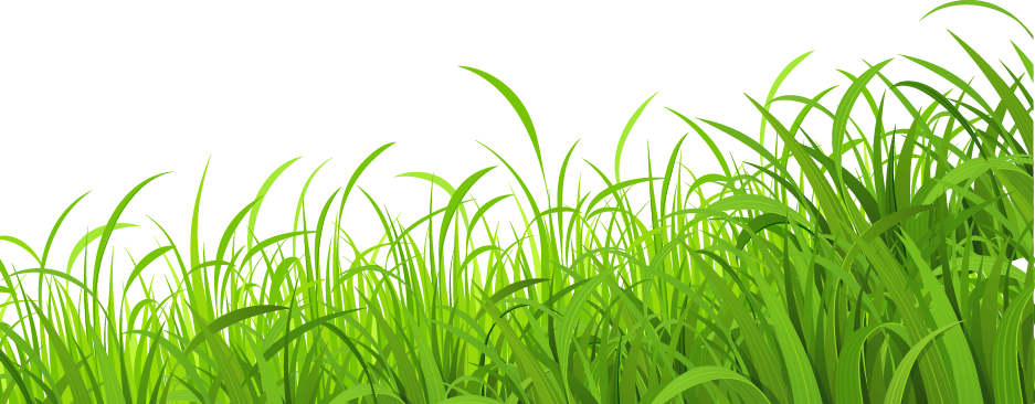 Vibrant_ Green_ Meadow_ Grass PNG