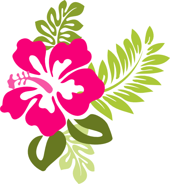 Vibrant_ Hawaiian_ Hibiscus_ Floral_ Vector PNG