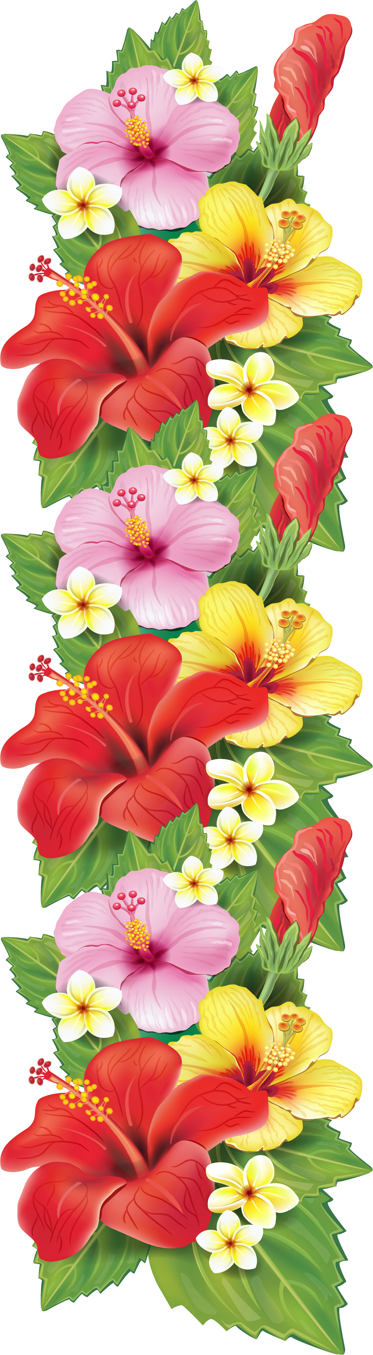 Vibrant_ Hawaiian_ Hibiscus_ Flowers PNG