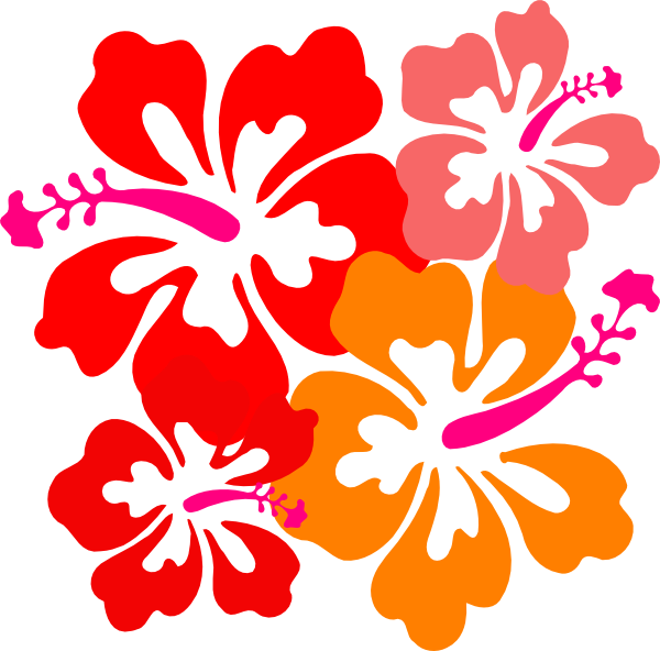 Vibrant_ Hawaiian_ Hibiscus_ Flowers_ Vector PNG