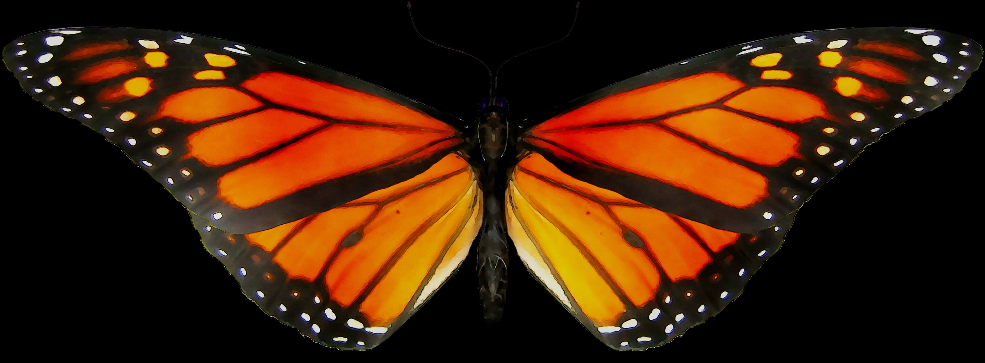 Vibrant_ Monarch_ Butterfly_ Transparent_ Background PNG