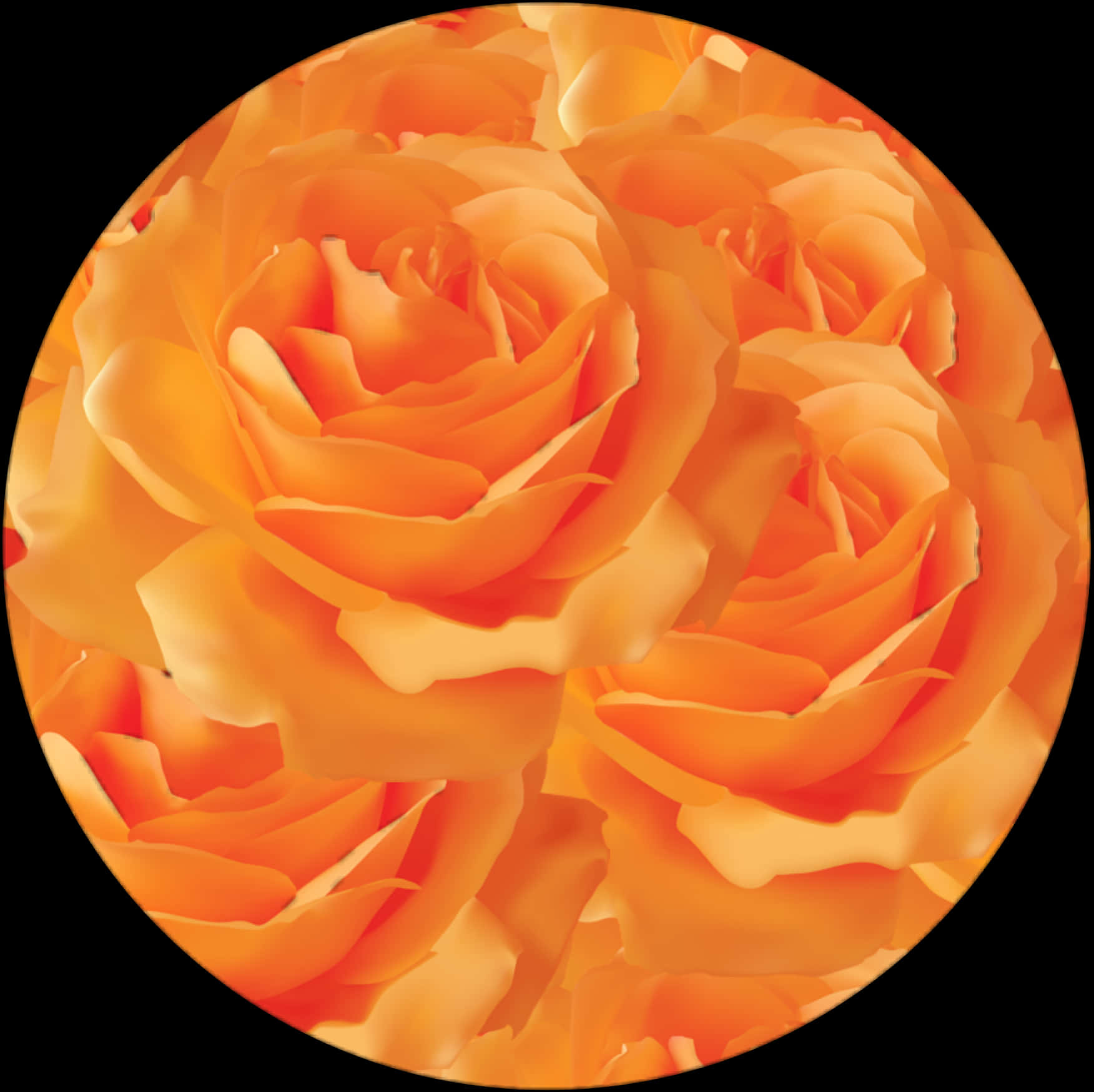 Vibrant_ Orange_ Roses_ Closeup PNG