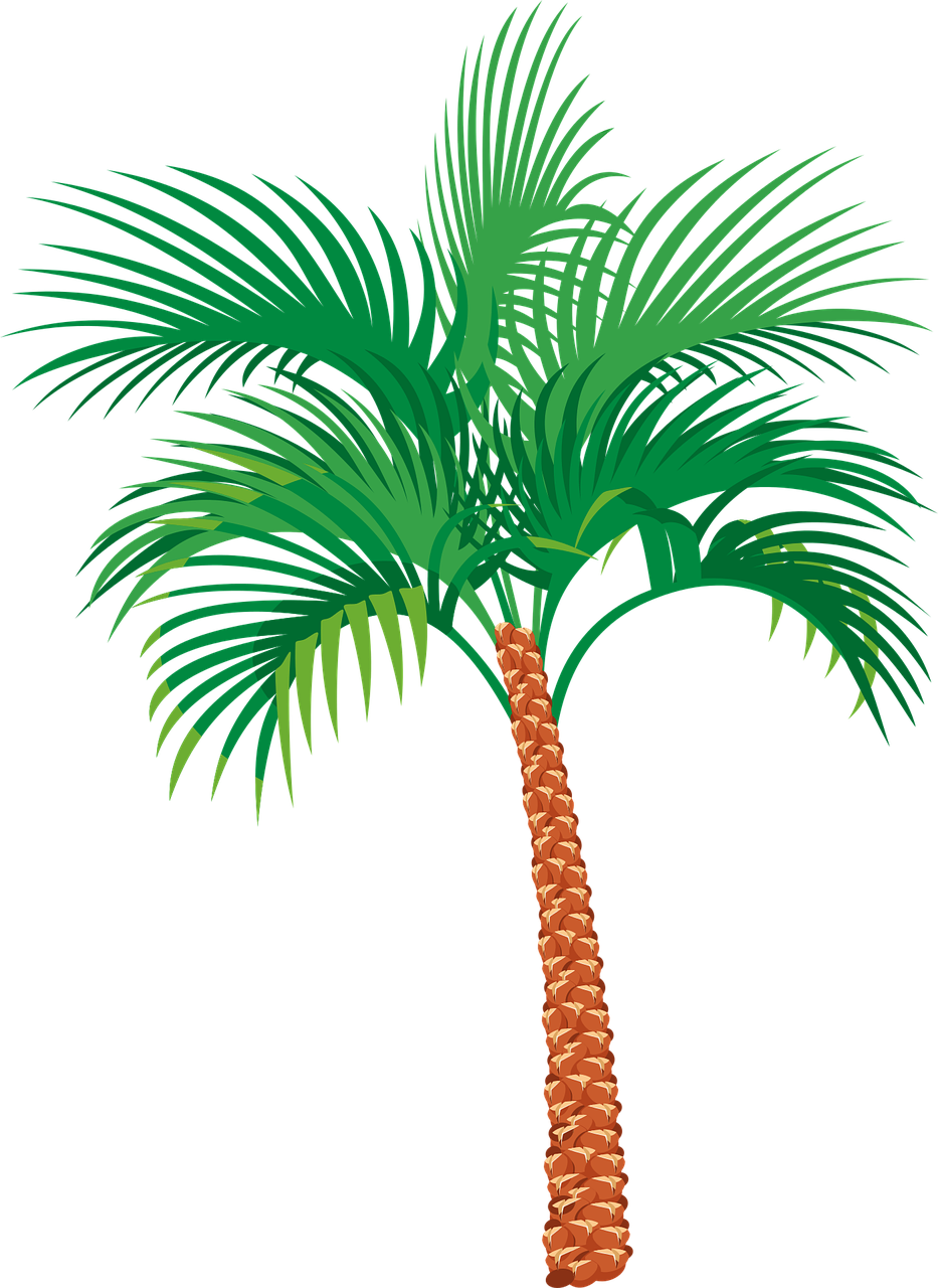 Vibrant_ Palm_ Tree_ Illustration PNG