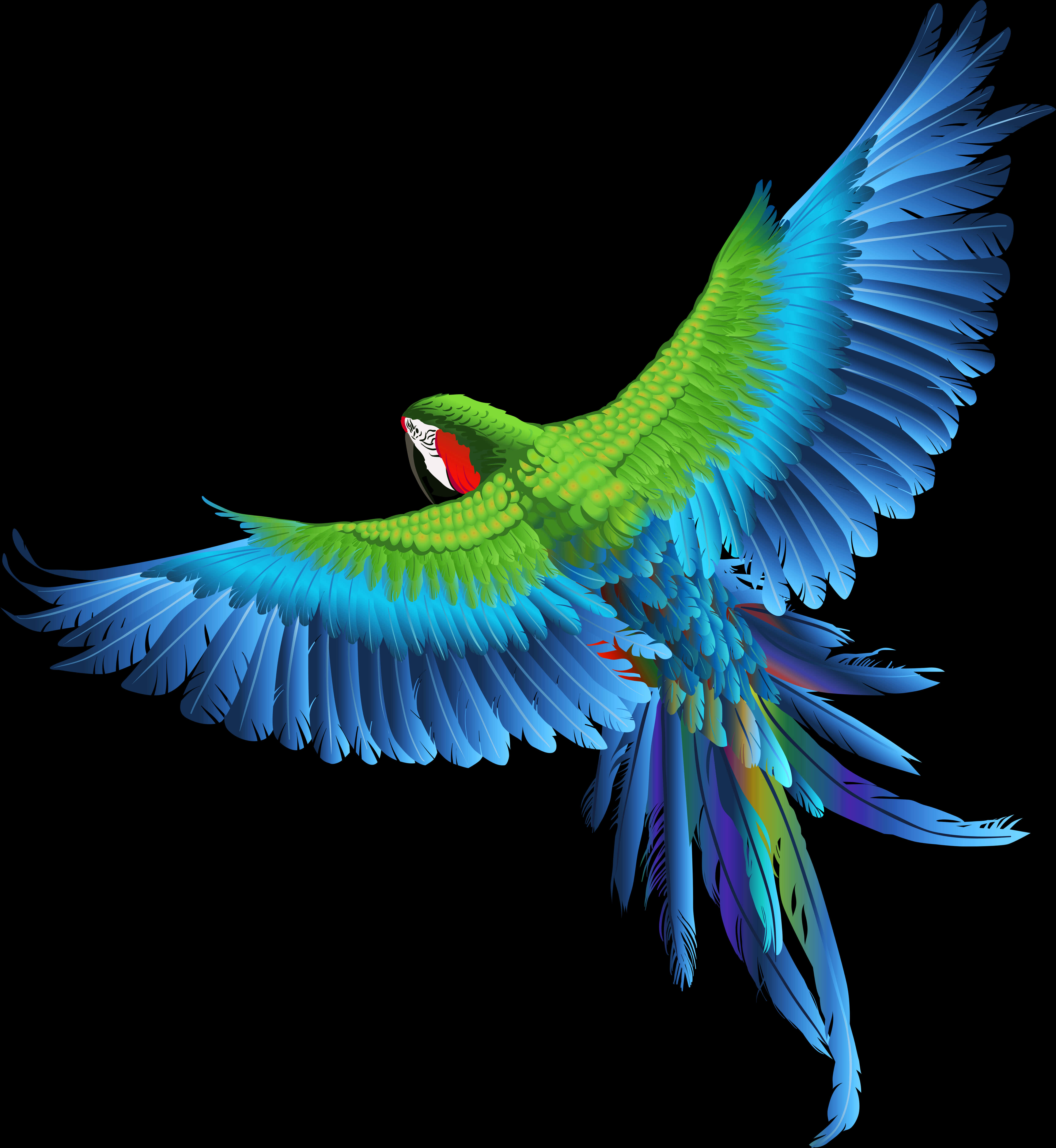 Vibrant_ Parrot_ In_ Flight_ Vector PNG