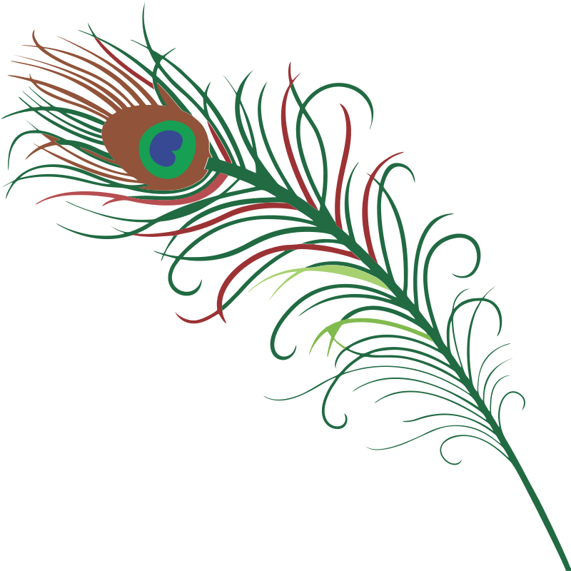 Vibrant_ Peacock_ Feather_ Artwork PNG