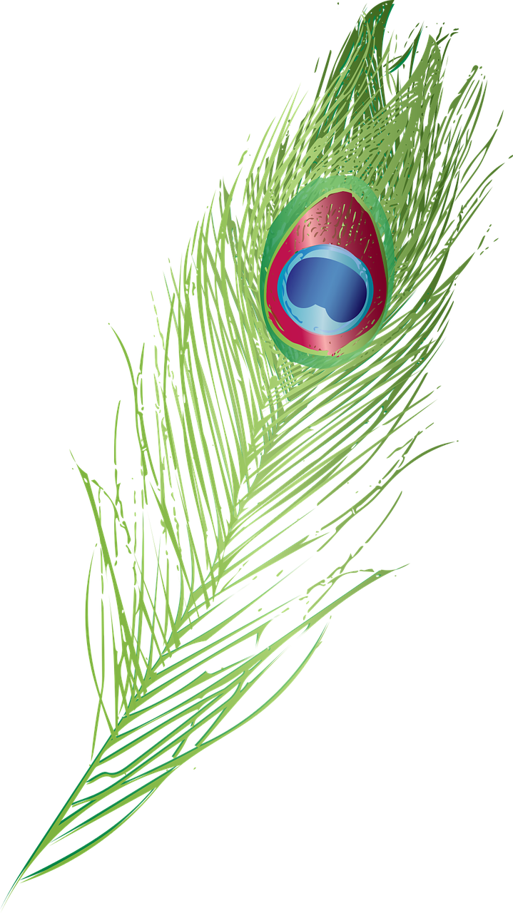Vibrant_ Peacock_ Feather_ Artwork.png PNG