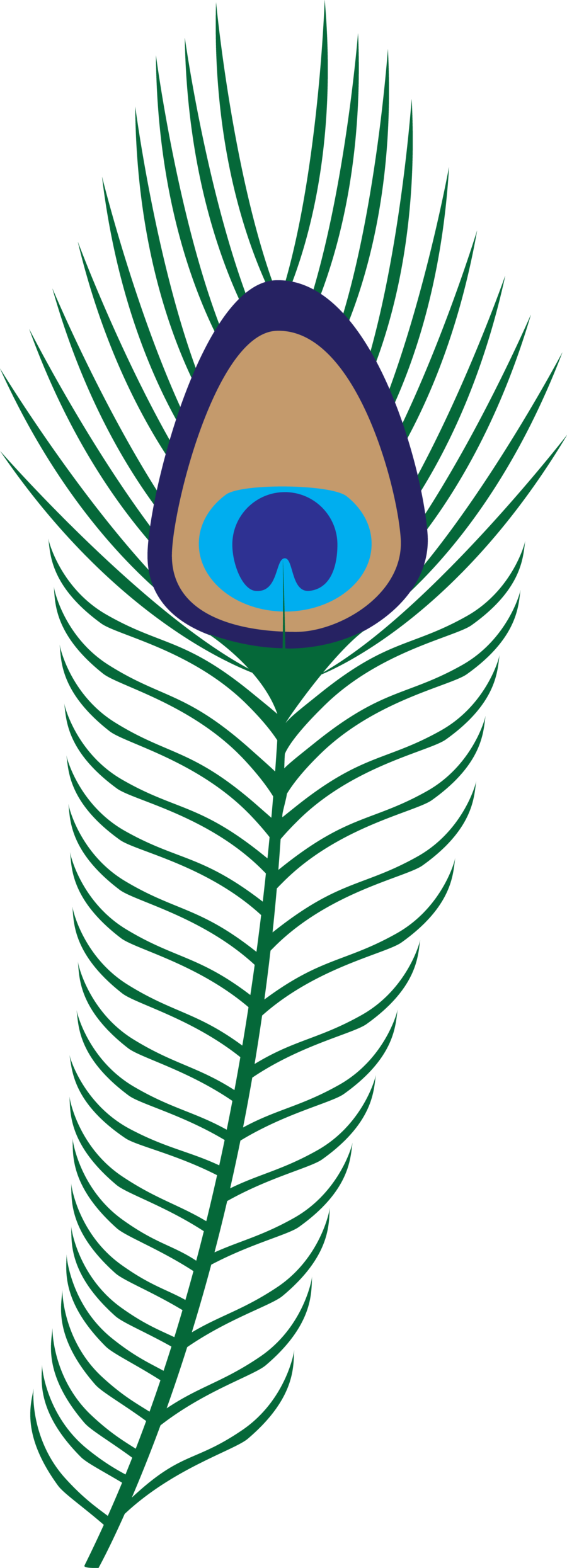 Vibrant_ Peacock_ Feather_ Graphic PNG