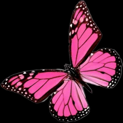 Vibrant_ Pink_ Butterfly_ Black_ Background.png PNG