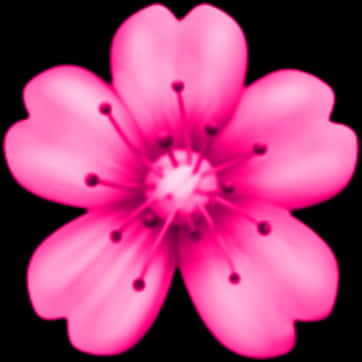 Vibrant_ Pink_ Flower_ Black_ Background PNG