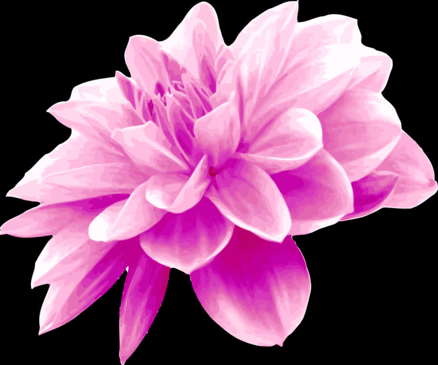 Vibrant_ Pink_ Flower_ Illustration PNG