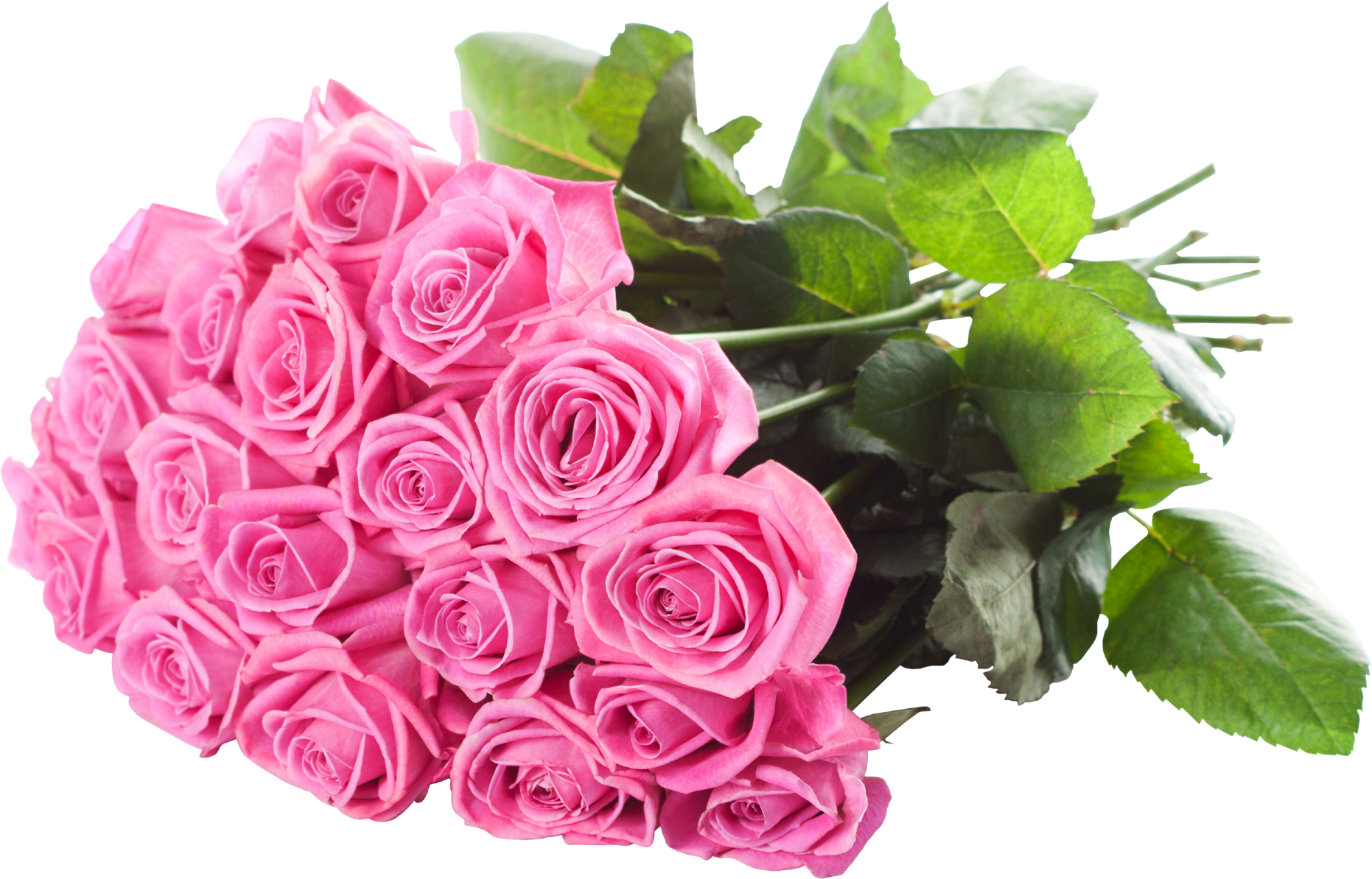 Vibrant_ Pink_ Rose_ Bouquet_ Transparent_ Background.png PNG