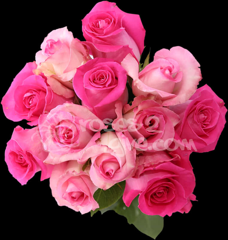 Vibrant_ Pink_ Roses_ Bouquet PNG