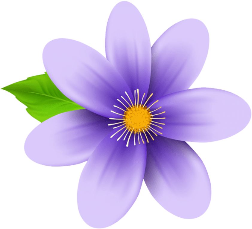 Vibrant_ Purple_ Flower_ Illustration.png PNG