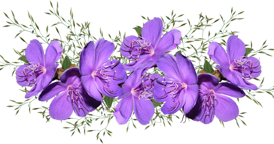 Vibrant_ Purple_ Flowers_ Arrangement.png PNG