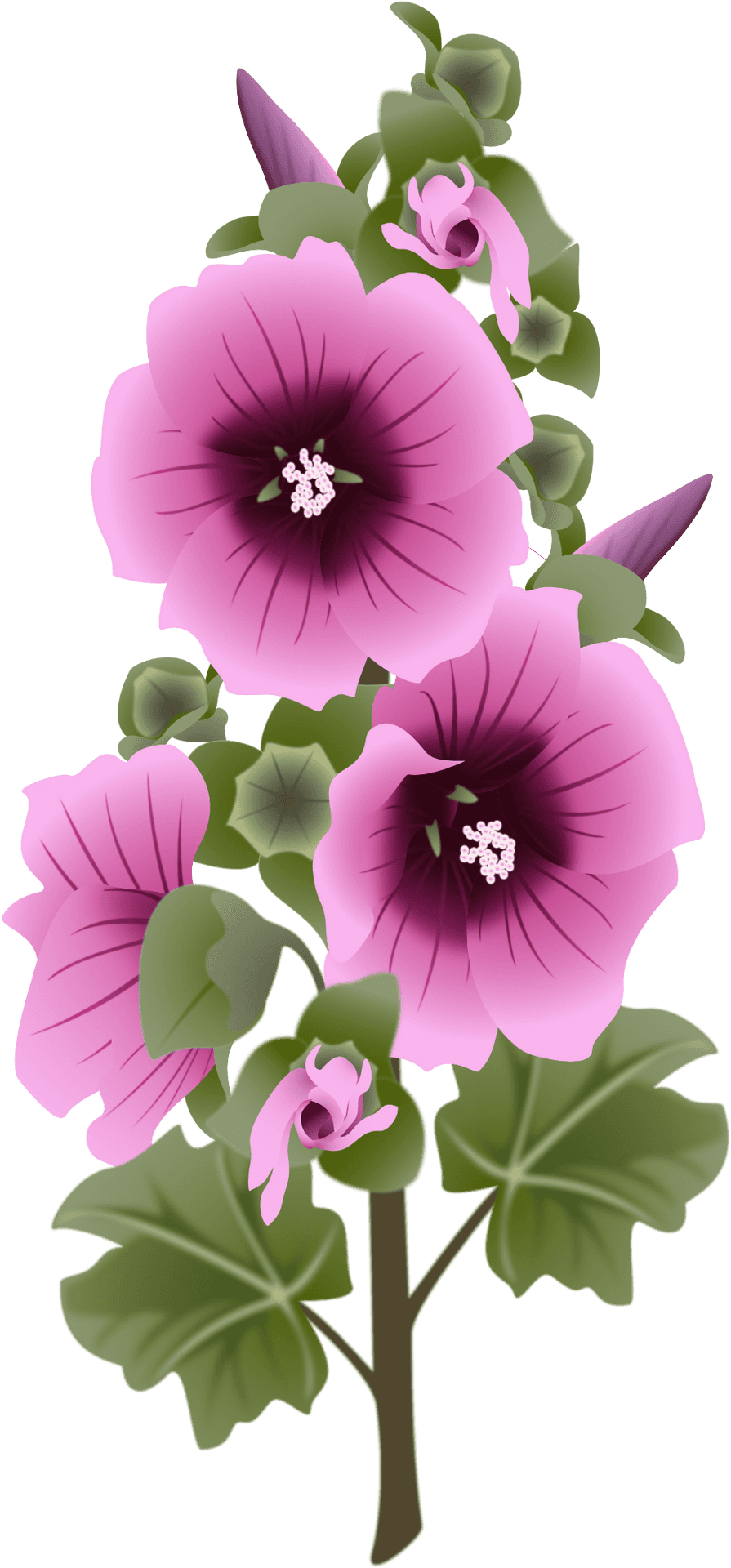 Vibrant_ Purple_ Flowers_ Artwork PNG