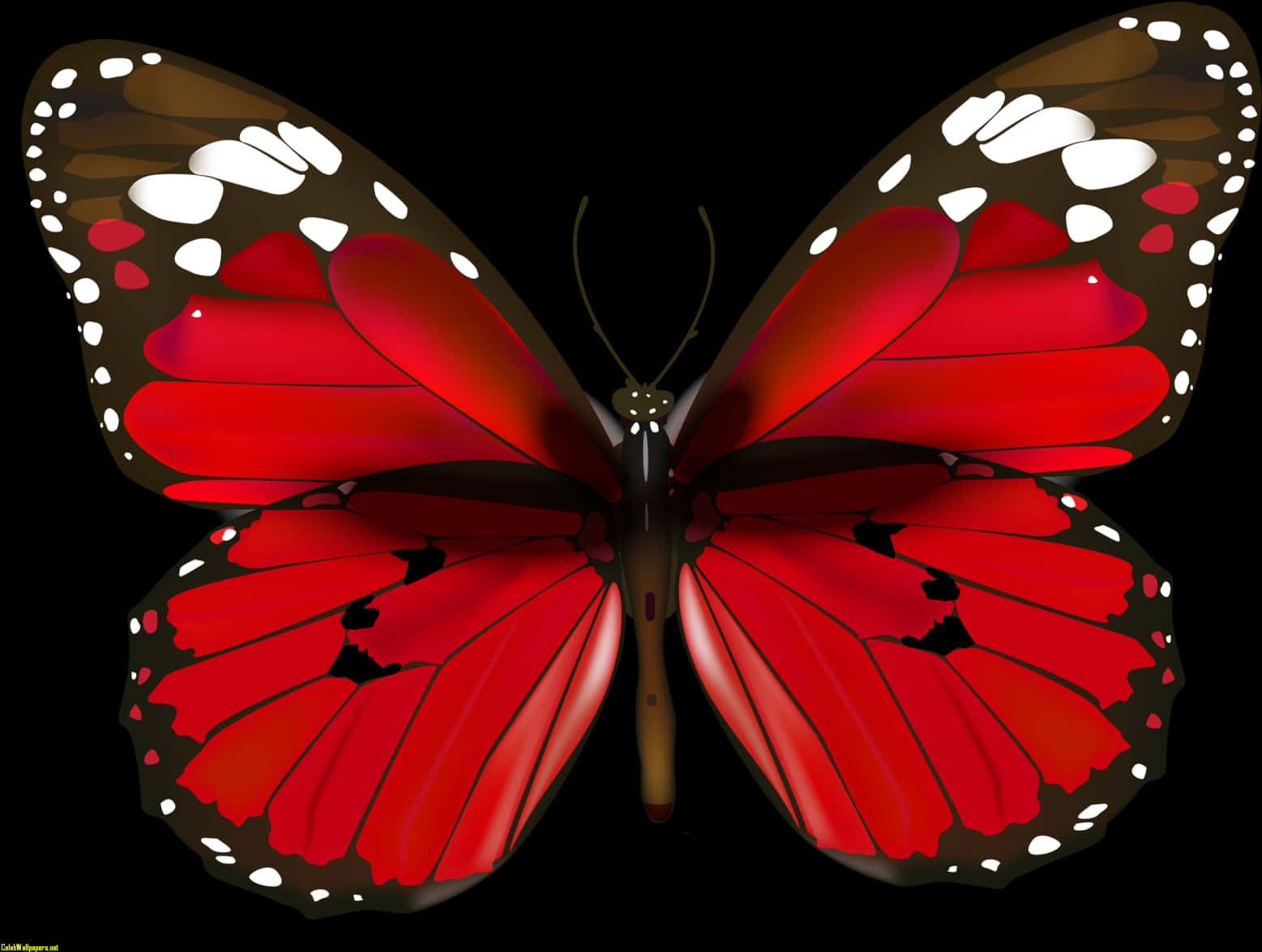 Vibrant_ Red_ Butterfly_ Illustration PNG