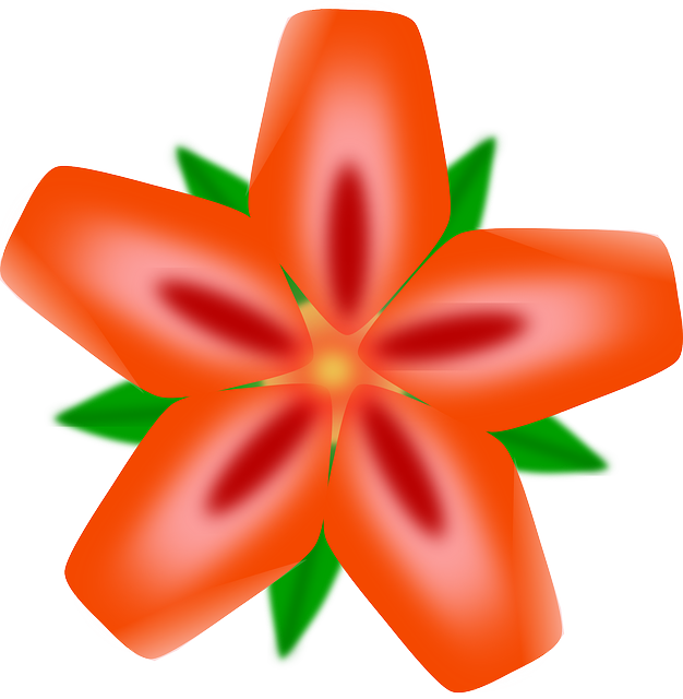 Vibrant_ Red_ Hawaiian_ Flower_ Illustration PNG