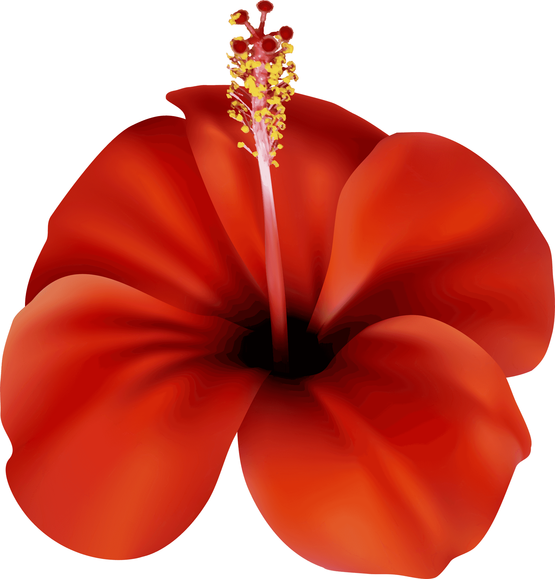 Vibrant_ Red_ Hibiscus_ Clipart.png PNG