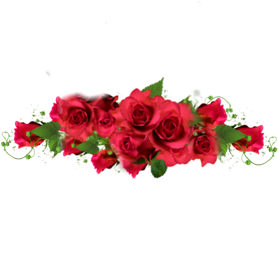 Vibrant_ Red_ Rose_ Arrangement.png PNG