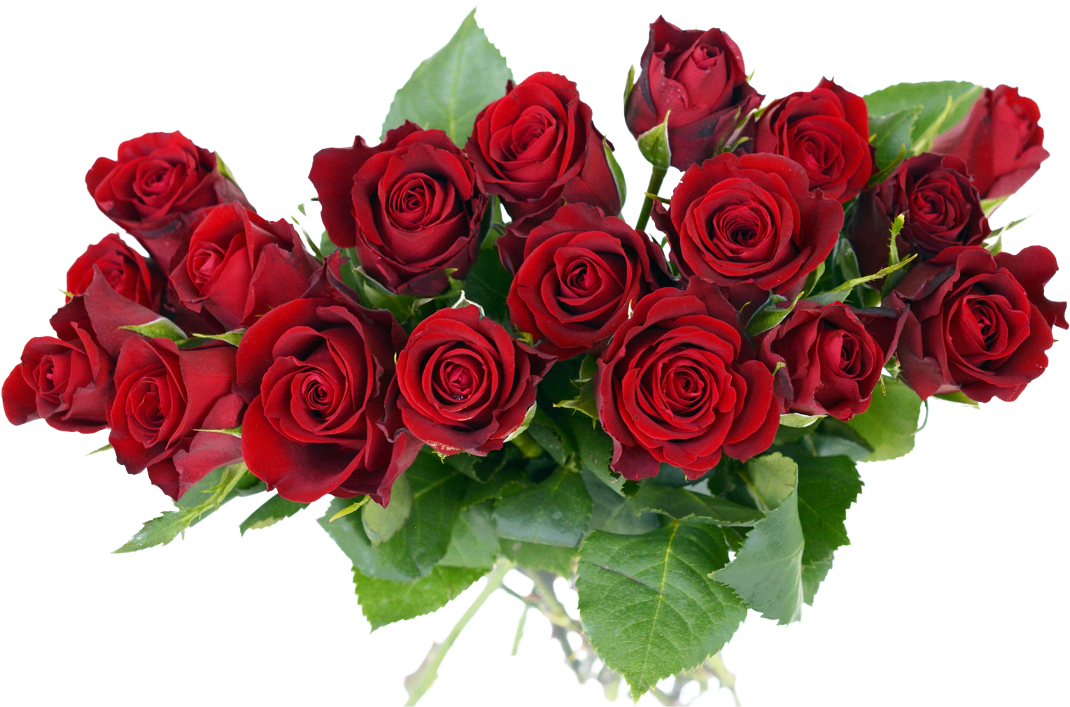 Vibrant_ Red_ Rose_ Bouquet.png PNG