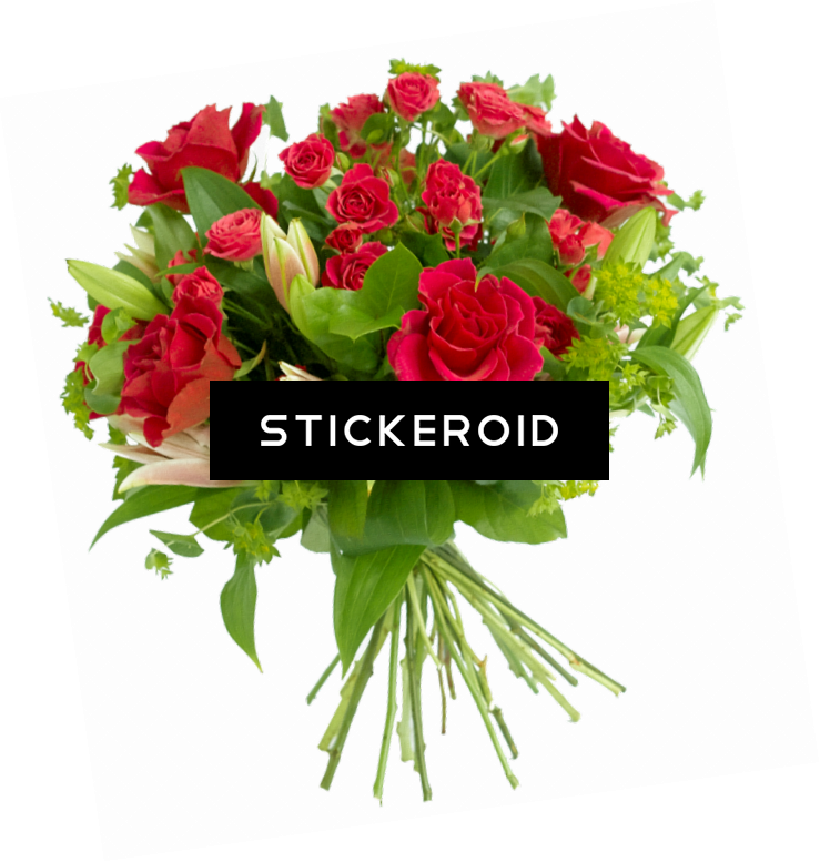 Vibrant_ Red_ Rose_ Bouquet_ Transparent_ Background.png PNG